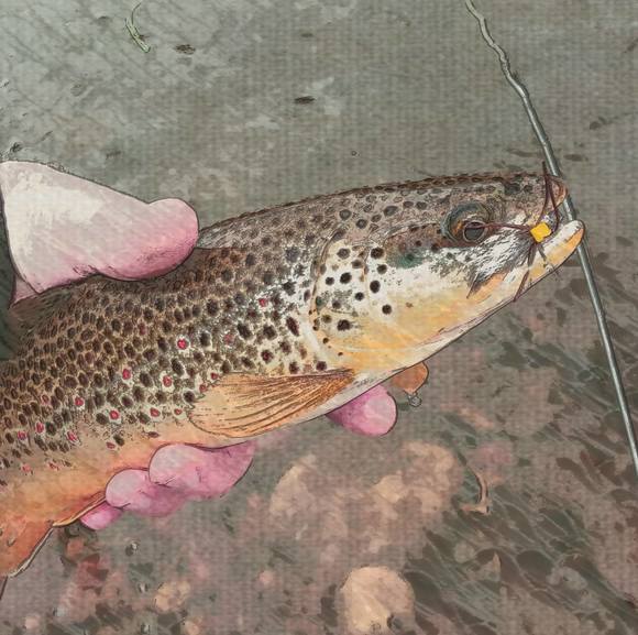 Profile Picture of Dale Goodsell (@dalegoodsell) on Poshmark