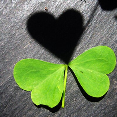 Profile Picture of VietVu Hoang (@HoangVietVu) on Twitter