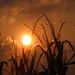 Profile Picture of Darrel McFadden (@darrel2972) on Pinterest