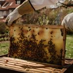 Profile Picture of Zachary M. Crouse (@no._.tearen1752) on Instagram