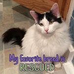 Profile Picture of Carole Wright (@carole.wright.9) on Instagram