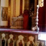 Profile Picture of Albert Amato (@carpanzanoal) on Instagram