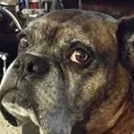 Profile Picture of Gabriel Cantu (@cantu1515) on Instagram