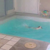 Profile Picture of Jody Ramsay (@jody802202) on Youtube