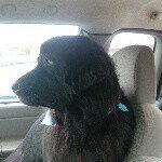 Profile Picture of david rowsell (@dv880126) on Instagram