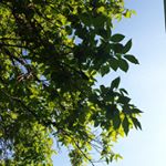 Profile Picture of Alexander (@getta_bed) on Instagram