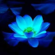 Profile Picture of Jeremy Fu (@jeremyfu6521) on Youtube