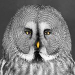 Profile Picture of Martin Chamberlain (@martinchamberlainphotography) on Instagram