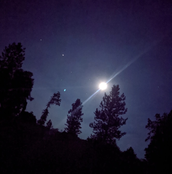 Profile Picture of Adam Starr (@mradamstarr) on Poshmark