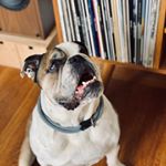 Profile Picture of Guy Wilkinson (@ourvinylfrontier) on Instagram