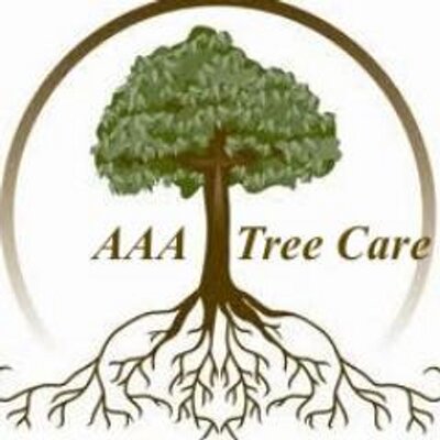 Steve Stoeckel - Twitter Profile Picture of Steve Stoeckel (@OC_Arborist) on Twitter