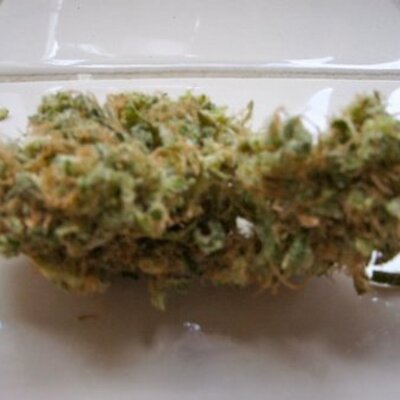 Profile Picture of Weed (@stoner420peace) on Twitter