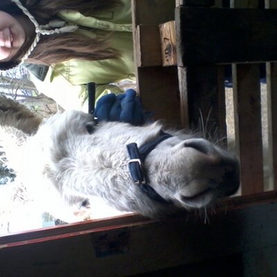 Profile Picture of Gavin Duff (@Oldfashionedone) on Twitter