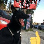Profile Picture of Keith Lingenfelter (@keithlingenfelter) on Instagram