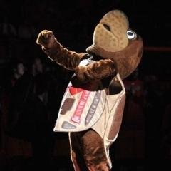 Jeff Brewster - Twitter Profile Picture of Jeff Brewster (@jbrewster) on Twitter