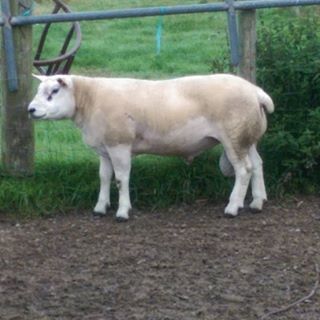 Profile Picture of Matthew Cousins (@matthew.cousins.948) on Facebook