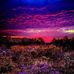 Profile Picture of James Chacon (@james.chacon.7509) on Facebook