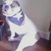 Profile Picture of Leslie Lindeman (@sasser28) on Pinterest
