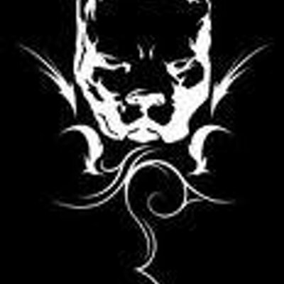 Profile Picture of Mark Phair (@pitbull67) on Twitter