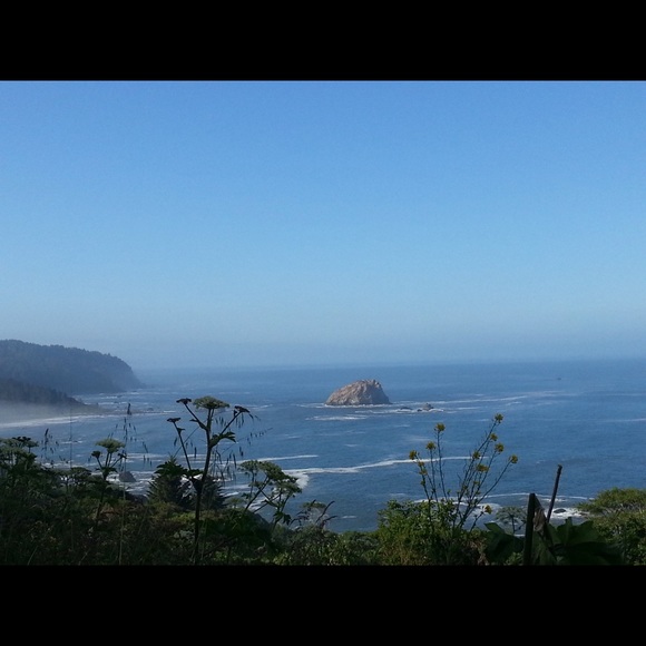 Profile Picture of Tina Vorse (@tinasharkey) on Poshmark