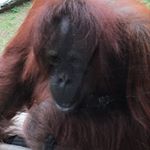 John Morgan Tillery - Instagram Profile Picture of John Morgan Tillery (@johnhogan15) on Instagram