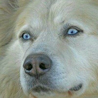 Profile Picture of Ken Rollins (@kensphone778) on Twitter