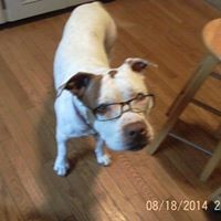 Profile Picture of Janet Pike (@janet-pike) on Quora
