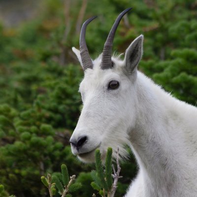 Profile Picture of Kate Schaefer (@Kateschaefer7) on Twitter
