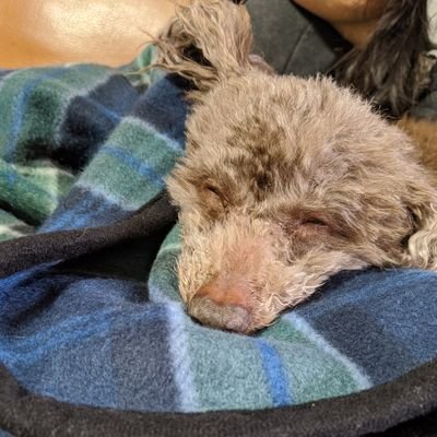 Chang Son♫ - Twitter Profile Picture of Chang Son♫ (@5kobuchi2) on Twitter