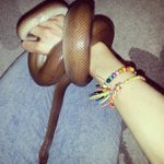 Profile Picture of Vincent Wade (@holywilactually) on Instagram