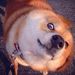 Profile Picture of Zhaoyuan Huo (@z1huo) on Pinterest