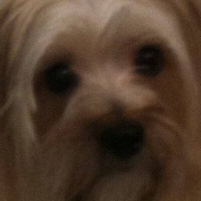 Profile Picture of Pat Mize (@MizePat) on Twitter