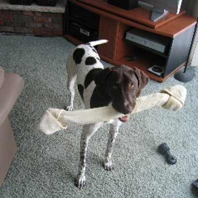 Profile Picture of Eric Johnson (@Eric_Averill) on Twitter