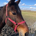 Profile Picture of Isabelle Regnier (@regnier.i) on Instagram