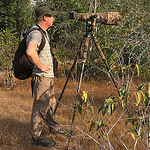 Profile Picture of Robert Scanlon (@robert_s_scanlon) on Flickr