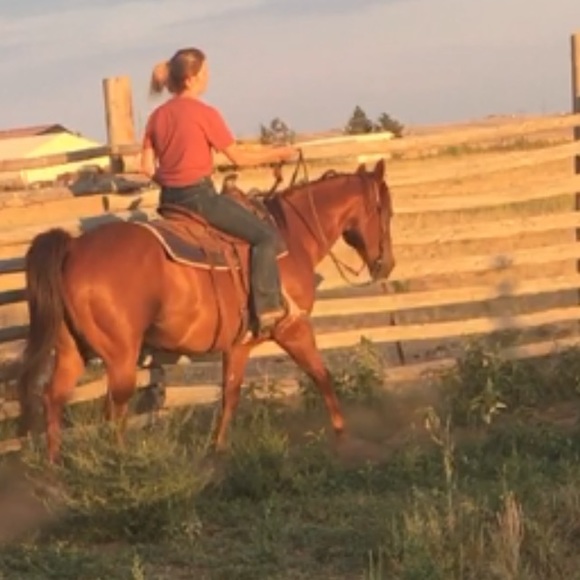 Profile Picture of Brady D (@brady_mae) on Poshmark