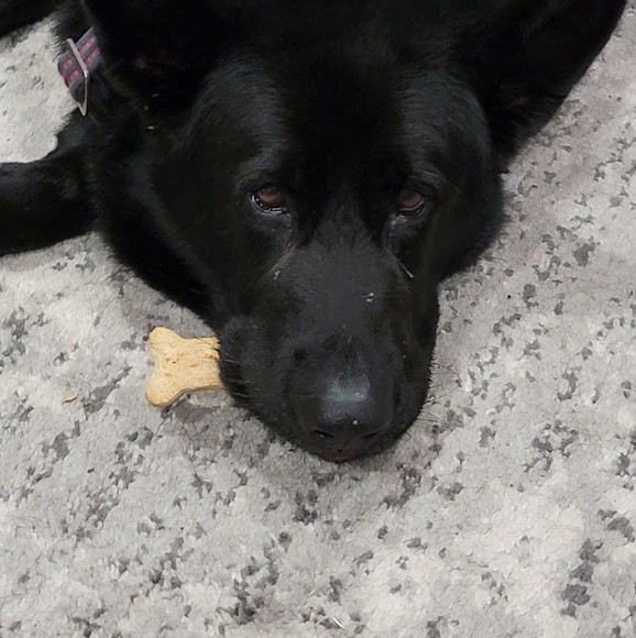 Profile Picture of Rubin Thomas (@pershingwarrior) on Poshmark