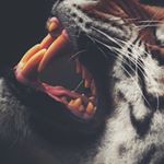 Profile Picture of Марк Грабовский (@markgrabovskii) on Instagram