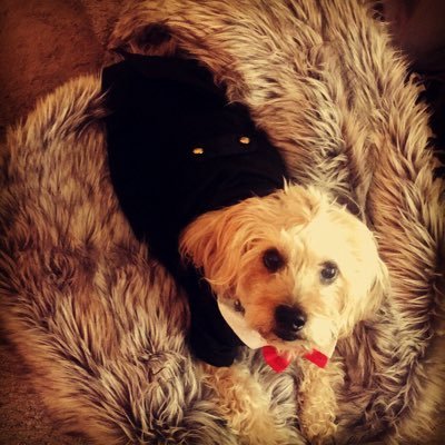 Profile Picture of ღ (@jessicaweich_is) on Twitter