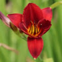 Profile Picture of Barbara Haley (@barbara-haley-23) on Quora