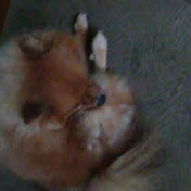 Profile Picture of Casey Escobar (@caseyescobar7381) on Youtube