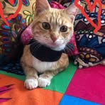 Profile Picture of Daniela Rojas (@Daniela-Rojas) on Facebook