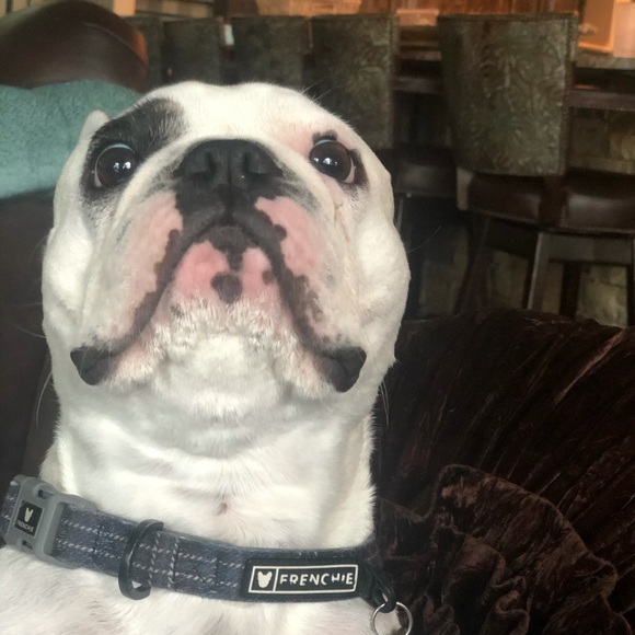 Profile Picture of Kaitlyn Connole (@kaitlyn_connole) on Poshmark