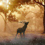 Profile Picture of John Feeley (@mighty_joe_kong) on Instagram