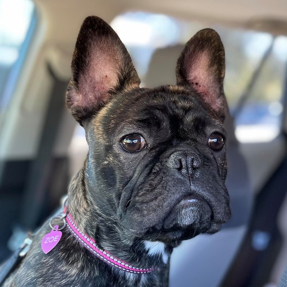 Profile Picture of Jeanette Braski (@jbraski) on Poshmark