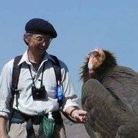 Profile Picture of Al Liu (@ChickenGrandma) on Facebook