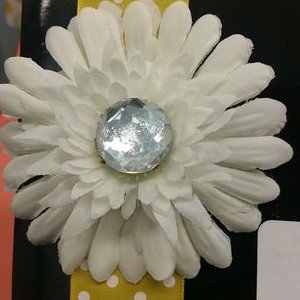 Profile Picture of SethLow GEMS (@SethLowGems) on Twitter