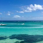 Profile Picture of David Mignot (@dmignot75116) on Instagram