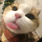 Profile Picture of Shellyrr Peñaflor (@shelskie.plando) on Facebook