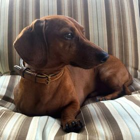 Profile Picture of Angelica James (@jelly692) on Pinterest